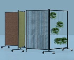 Multi-functional partition system