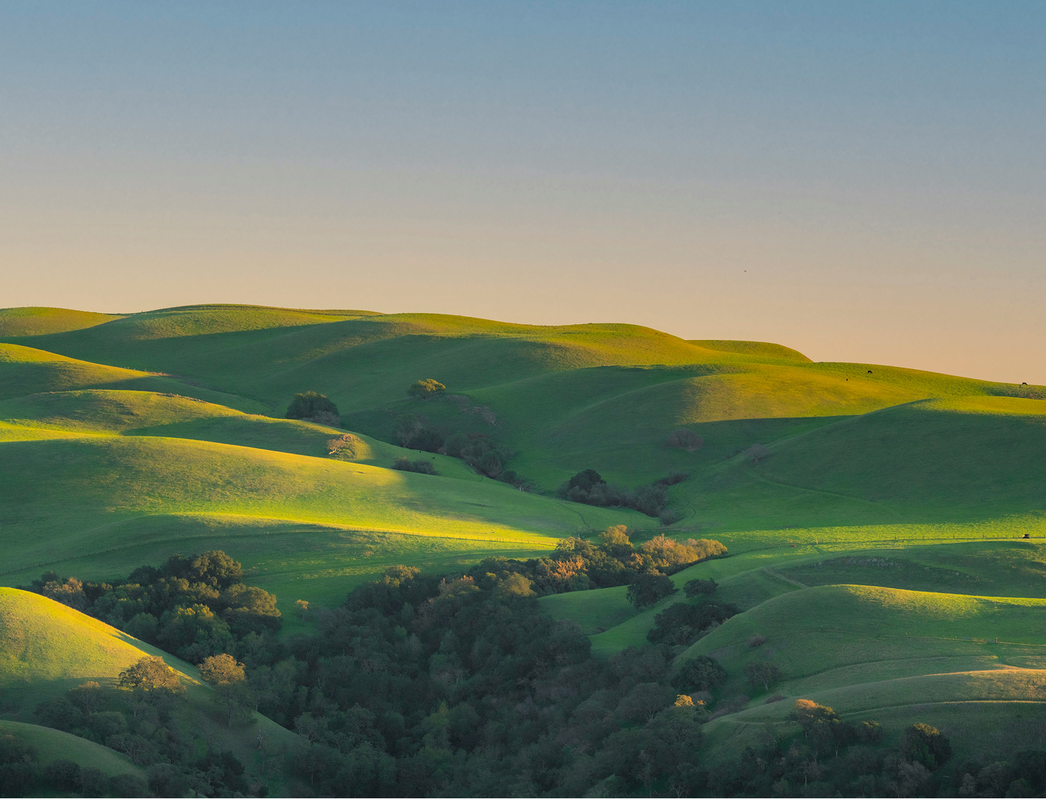 Environmental Responsibility